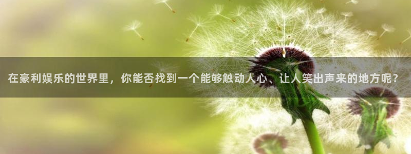 彩虹多多体育注册平台：在豪利娱乐的世界里，你能否找到一个能够触动人心、让人笑出声
