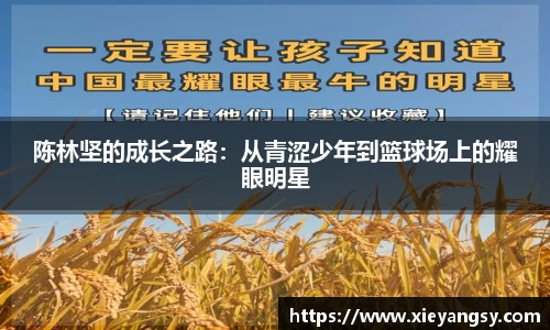 陈林坚的成长之路：从青涩少年到篮球场上的耀眼明星
