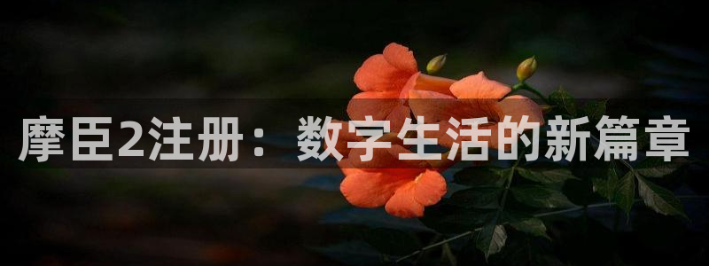 彩虹多多体育游戏：摩臣2注册：数字生活的新篇章