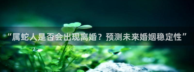 彩虹多多主管：“属蛇人是否会出现离婚？预测未来婚姻稳定性”