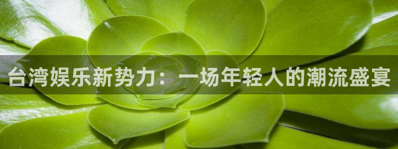 彩虹多多体育娱乐注册链接：台湾娱乐新势力：一场年轻人的潮流盛宴