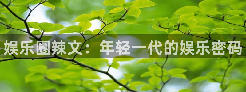 彩虹多多平台总代理：娱乐圈辣文：年轻一代的娱乐密码