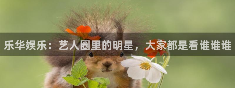 彩虹多多体育注册平台：乐华娱乐：艺人圈里的明星，大家都是看谁谁谁
