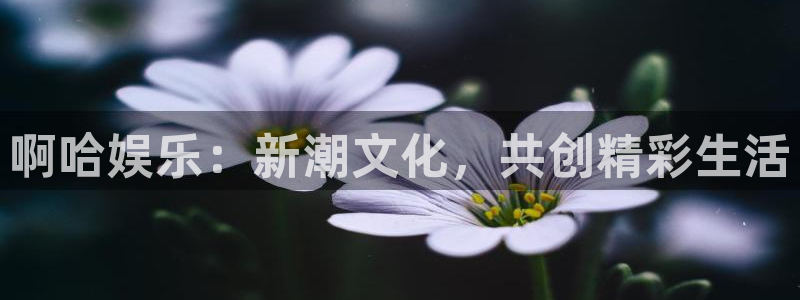 彩虹多多体育热门赛事有哪些：啊哈娱乐：新潮文化，共创精彩生活