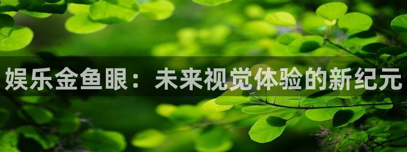 彩虹多多2注册：娱乐金鱼眼：未来视觉体验的新纪元