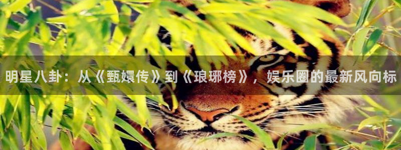 彩虹多多2官网：明星八卦：从《甄嬛传》到《琅琊榜》，娱乐圈的最新风向标