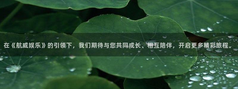 彩虹多多体育代理：在《航威娱乐》的引领下，我们期待与您共同成长、相互陪伴，开启更多精彩旅程。