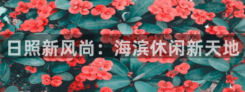 彩虹多多体育免费注册入口：日照新风尚：海滨休闲新天地