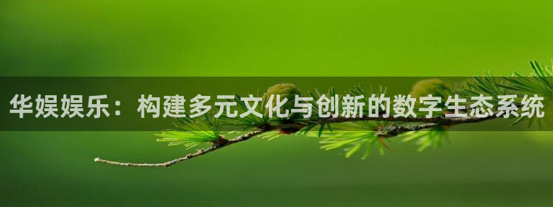 彩虹多多凯捷开号链接：华娱娱乐：构建多元文化与创新的数字生态系统