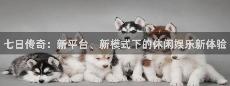 彩虹多多体育2官网入口：七日传奇：新平台、新模式下的休闲娱乐新体验