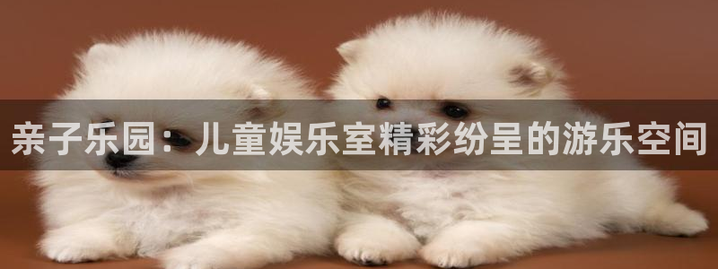 东莞市彩虹多多电子科技有限公司：亲子乐园：儿童娱乐室精彩纷呈的游乐空间