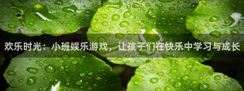 彩虹多多体育平台登录入口：欢乐时光：小班娱乐游戏，让孩子们在快乐中学习与成长