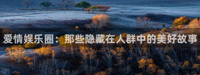 成都彩虹多多电子有限公司：爱情娱乐圈：那些隐藏在人群中的美好故事