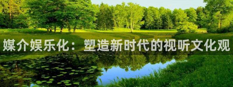 成都彩虹多多电子有限公司：媒介娱乐化：塑造新时代的视听文化观