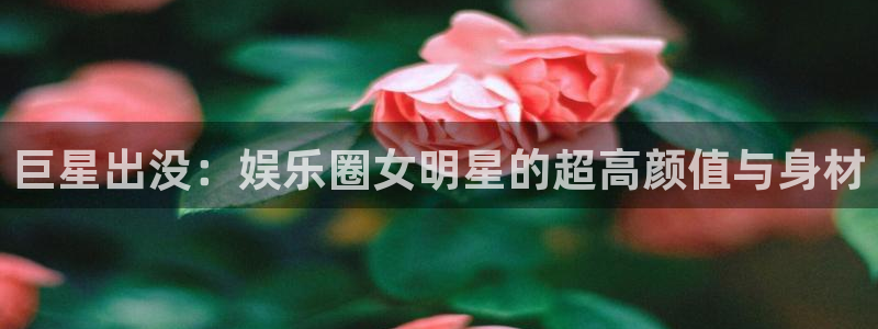 彩虹多多体育合法嘛：巨星出没：娱乐圈女明星的超高颜值与身材