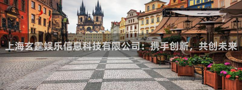 彩虹多多体育注册登录入口：上海玄霆娱乐信息科技有限公司：携手创新，共创未来