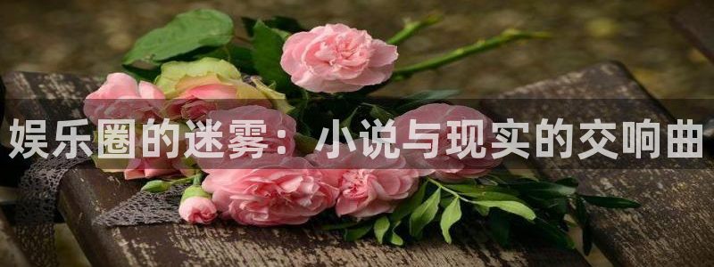 彩虹多多平台招商：娱乐圈的迷雾：小说与现实的交响曲
