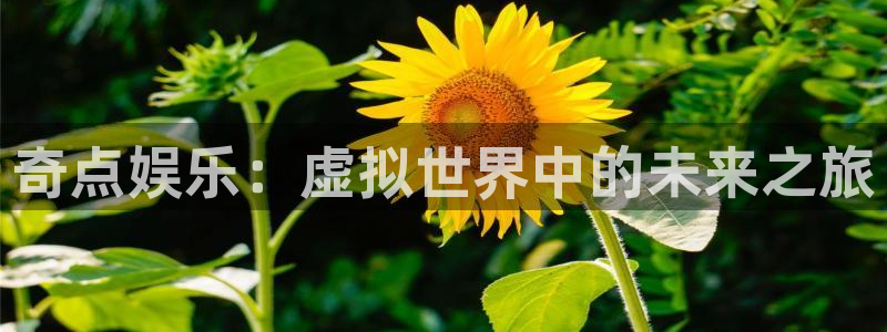 彩虹多多体育f开户：奇点娱乐：虚拟世界中的未来之旅