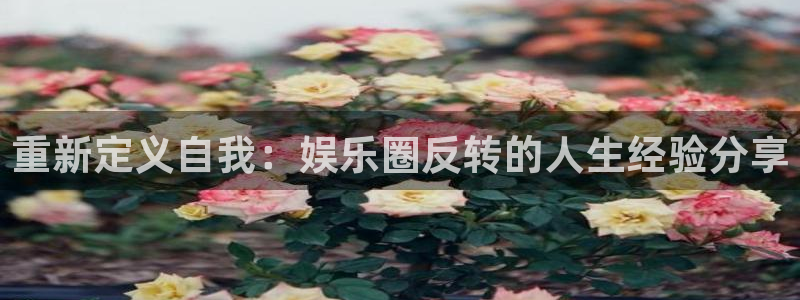 德国彩虹多多集团：重新定义自我：娱乐圈反转的人生经验分享